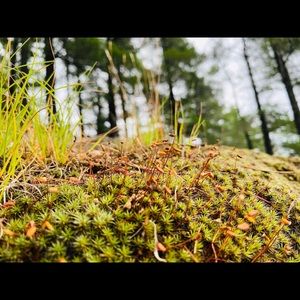 Meet your Posher, Tracy